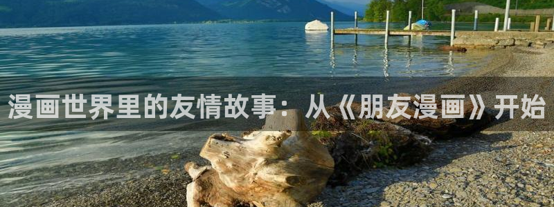 漫蛙怎么登录账号