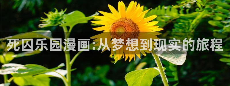 污漫蛙