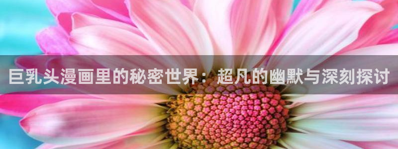 漫蛙(网页入口)