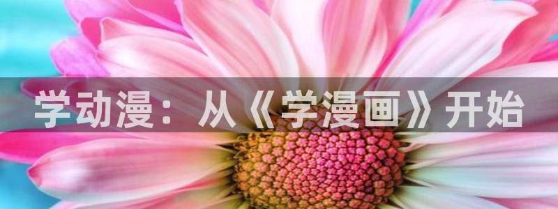 漫蛙在哪里找链接