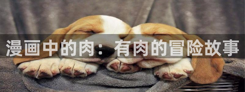 www .漫蛙漫画. com