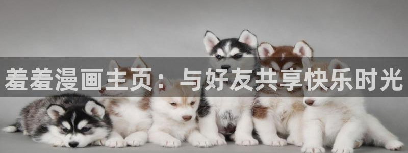 漫蛙m2