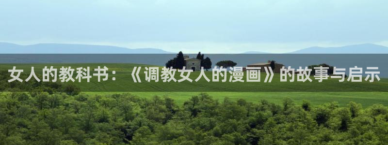 漫蛙manwa2官网入口