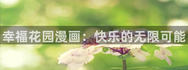 漫蛙2官网下载