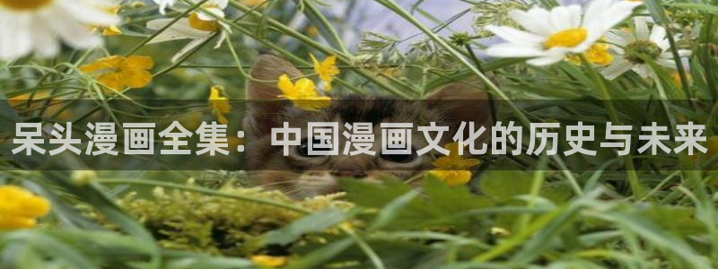 漫蛙漫画免费漫画下载