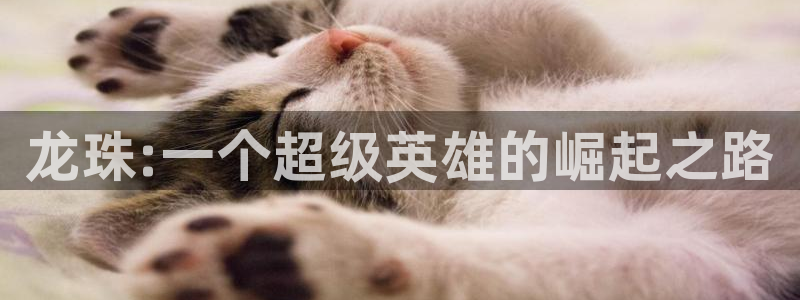 漫蛙漫画软件免费下载