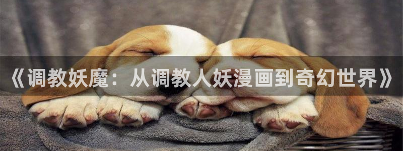 漫蛙cc