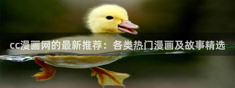 漫蛙2 下载