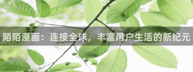 漫蛙正版入口