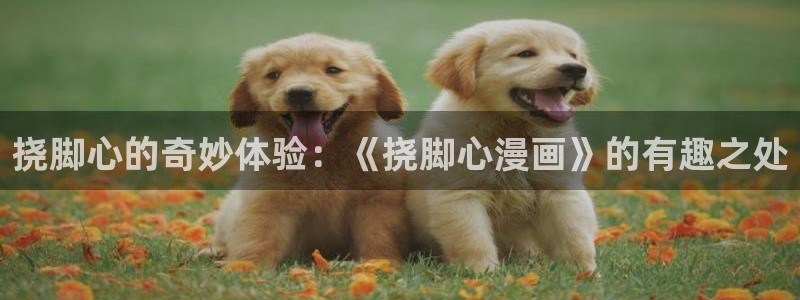 漫蛙入口链接