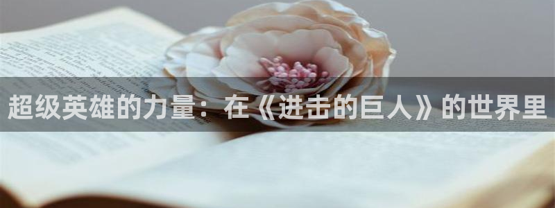 求漫蛙软件