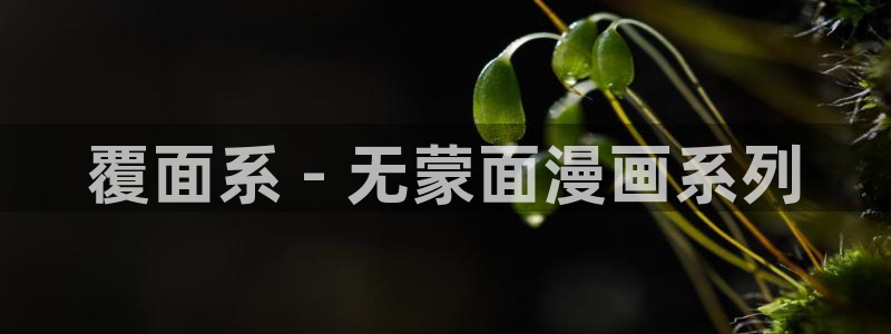 漫蛙漫画manwa最火爆的漫画网
