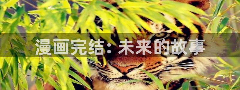 漫蛙网址