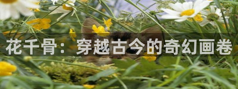 漫蛙在线漫画免费入口阅读