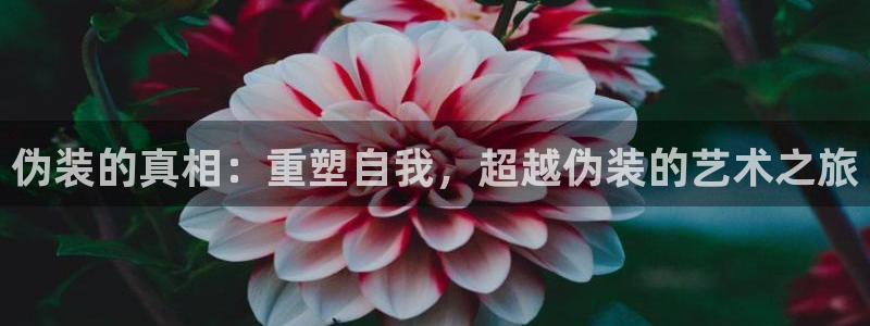 漫蛙网页版免费进入