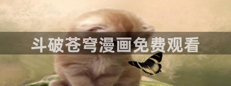 漫蛙卡