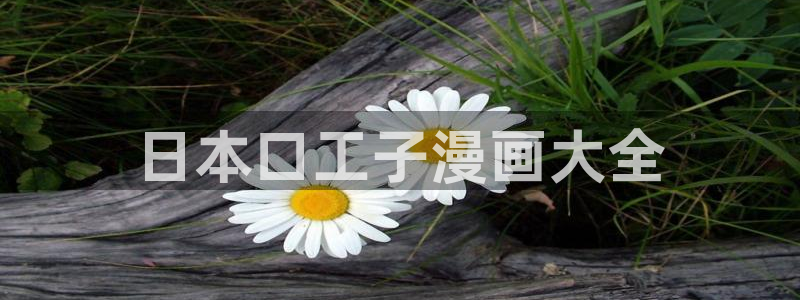 漫蛙在线官网