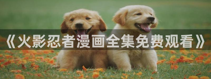 漫蛙网页版免费进入链接