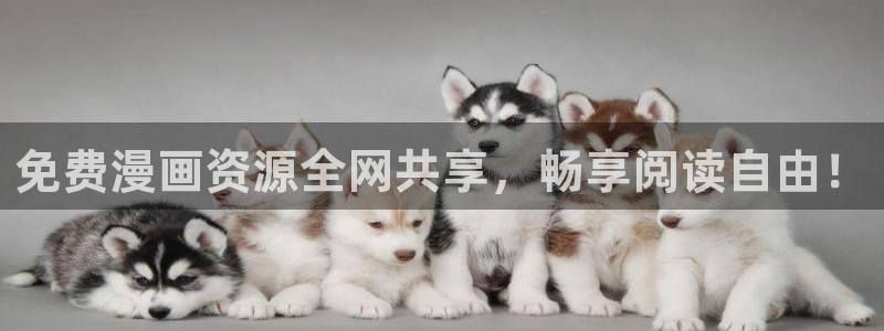 宝宝漫蛙