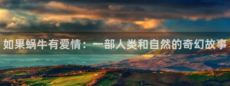 漫蛙网页版入口