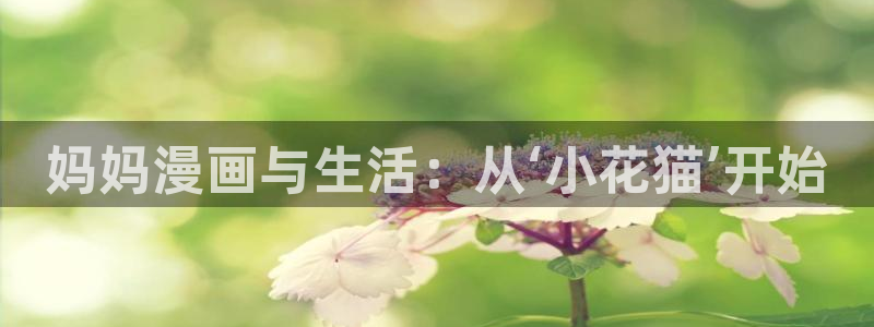 漫蛙是免费的吗