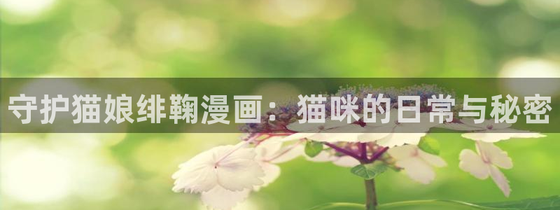 漫蛙mawa：守护猫娘绯鞠漫画：猫咪的日常与秘密