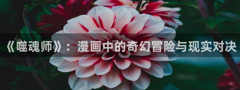 漫蛙登录教程