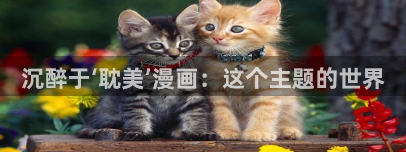 manwacc漫蛙漫画软件
