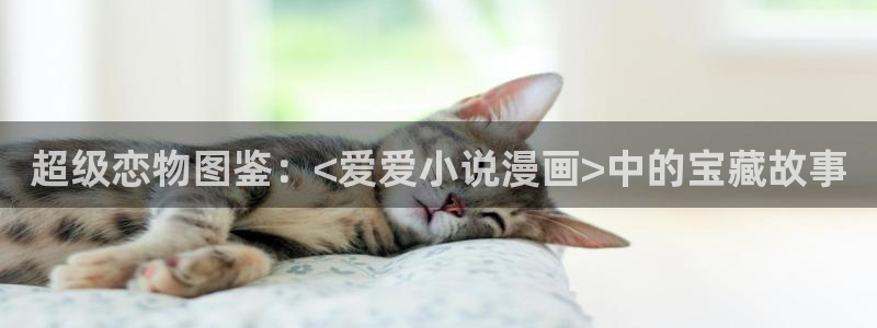 漫蛙app怎么下载安卓