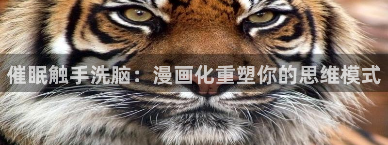 漫蛙下载有风险吗
