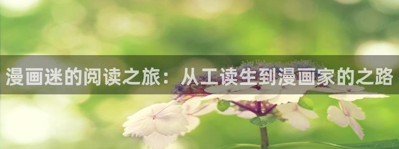 漫蛙22024