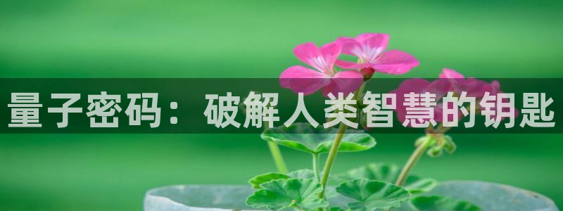 漫蛙免费漫画官网