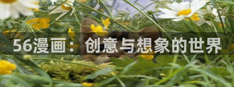 漫蛙最火最狂的漫画