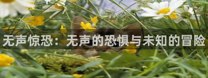 漫蛙漫画怎么下载
