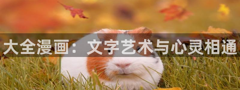 漫蛙漫画观看